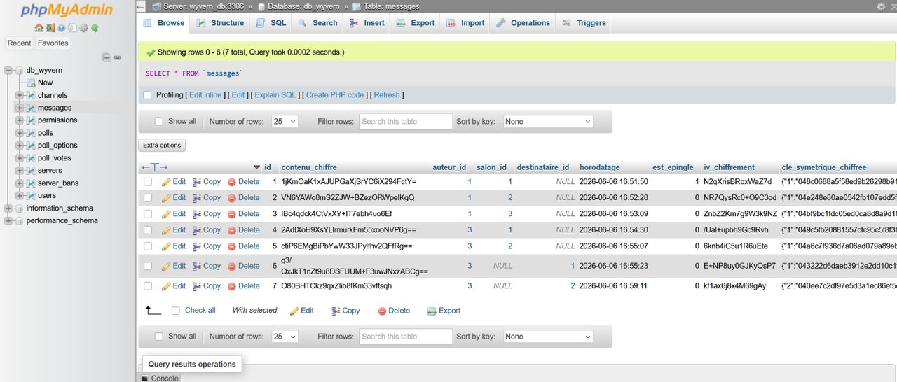 Database view showing encrypted message content